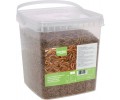 Сушените брашнени червеи Mealworms thumb
