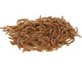 Сушените брашнени червеи Mealworms thumb